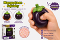 Crunchy Mangosteen Squishy
