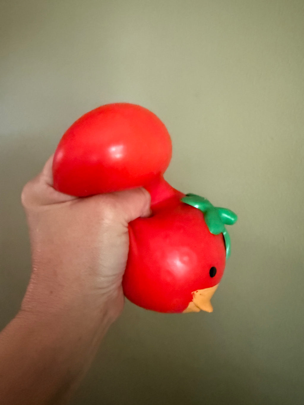 Squishy Strawberry Duck Toy!