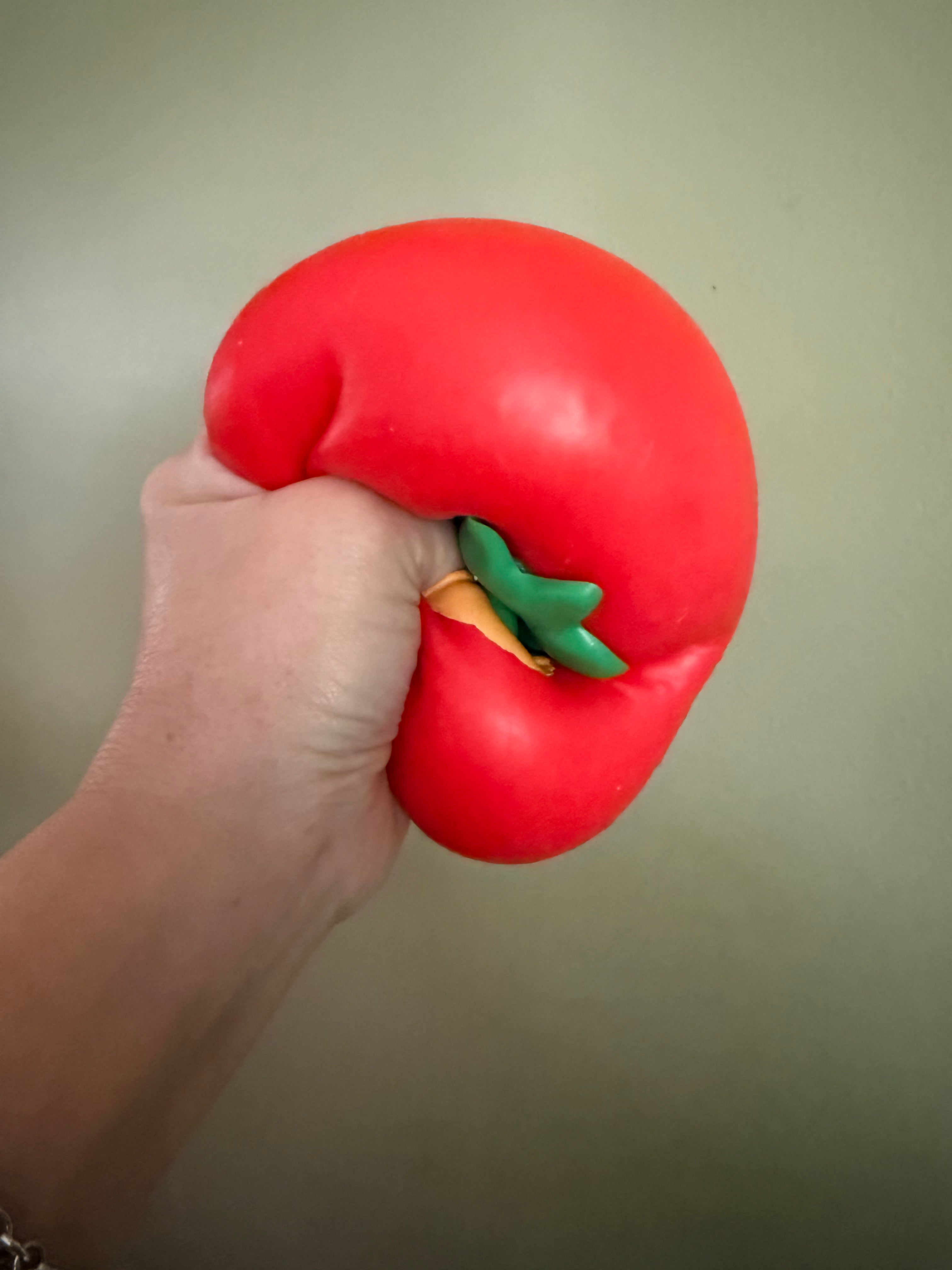 Squishy Strawberry Duck Toy!