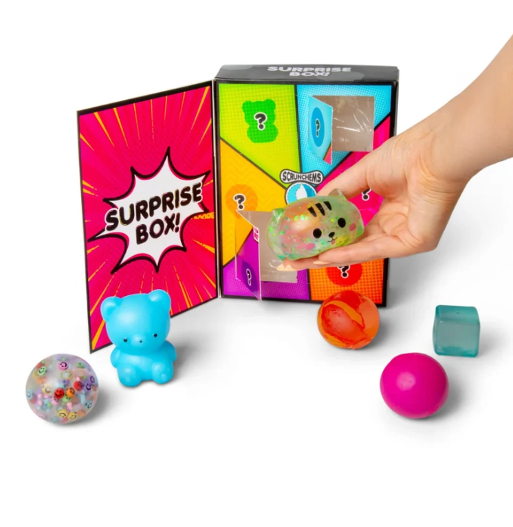 Scrunchems Surprise Box!